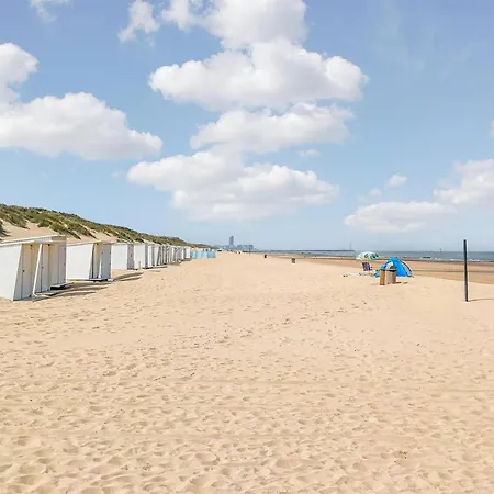 Gorgeous In With Wifi *